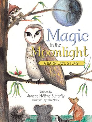 cover image of Magic in the Moonlight